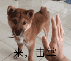 图片[7]-生活处处是商机，拖延也能赚钱，戳进来有详细操作步骤-破浪有活
